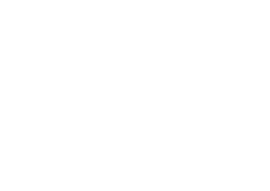 Bulls Bikes Logo