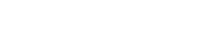 Expert Logo